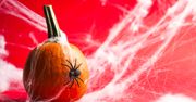 Tak w prosty sposób zrobisz pajęczynę na Halloween. Efekt cię zaskoczy