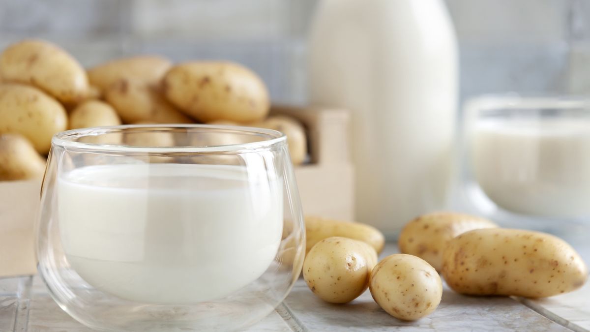 Vegan potato milk in glass and potato on ceramic tile background
Vegan potato milk in glass and potato on ceramic tile background. Plant based milk replacer, lactose free concept. Selective focus, close up
Eleonora Grigorjeva / 500px
potato milk, alternative, vegan-friendly, non-dairy milk, plant-based, potato drink, energy, fresh, natural, alimentary, vegetarian, healthy, beverage, sustainable, nut free, soy free, environment friendly, nutritious, potatoes, powder, creamy, option, allergs-free, background, close up