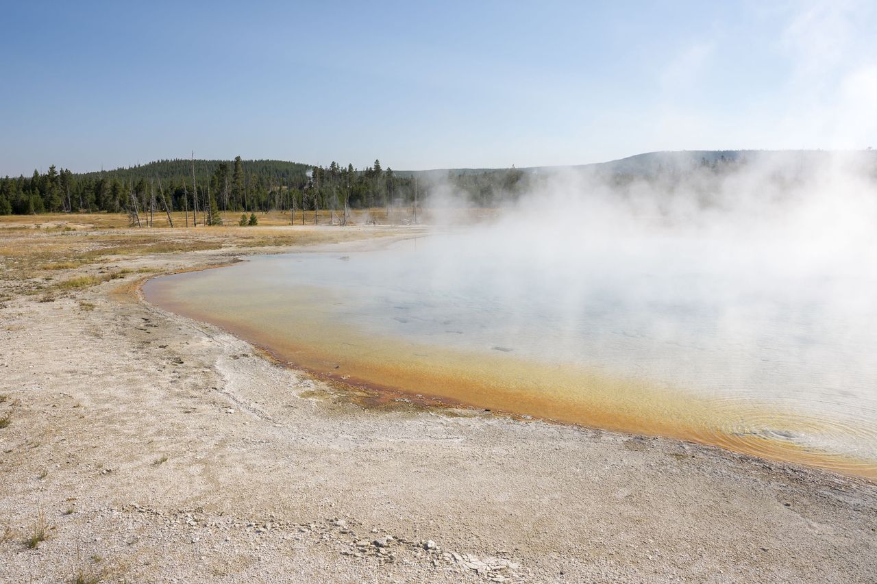 USA. Mężczyzna chciał ugotować kurczaka w gorących źródłach Yellowstone