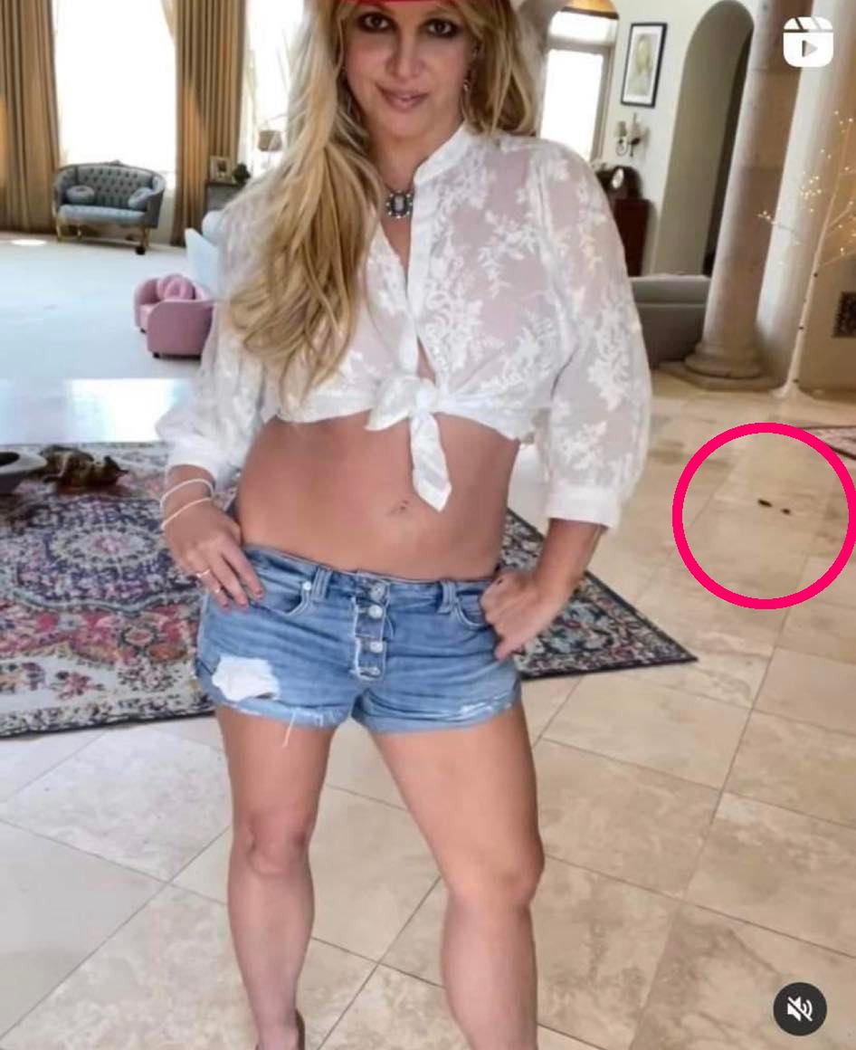 Britney Spears pląsa na tle kociej kupy