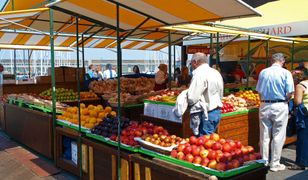Ceny nowalijek wystrzeliły. Jest jeszcze drożej niż przed rokiem