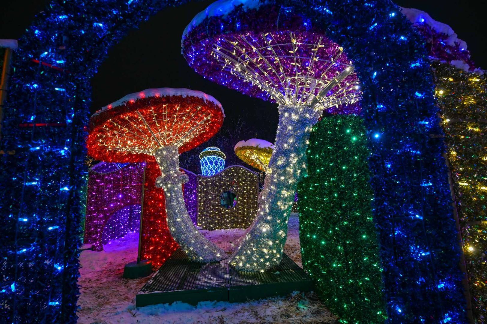 Park Miliona Świateł w Zakopanem