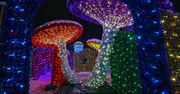 Park Miliona Świateł w Zakopanem pozostanie? Opinie radnych są skrajne: "Dzieci były zachwycone", "Nie wszystko musi mrugać jak Las Vegas"