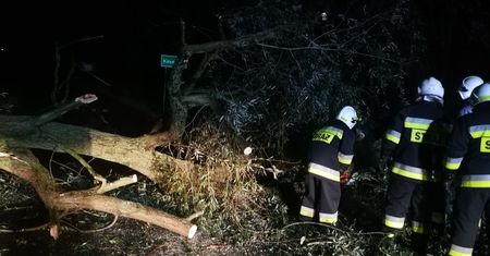 Nowe zdjęcia z interwencji strażaków w celu usunięcia skutków wichury w powiecie ostrowieckim