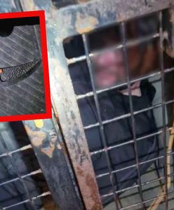 Chciał "zabijać warszawiaków". Z nożem w ręku atakował samochody