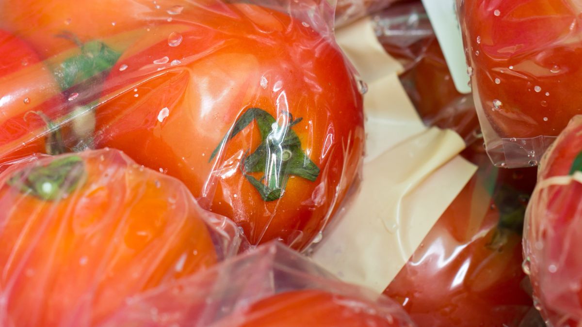 Pomidory stały się wodniste i bez smaku? Prawdopodobnie popełniłeś prosty błąd