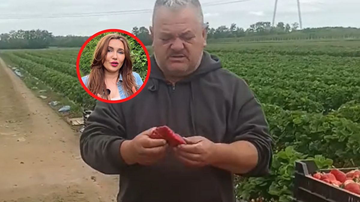 Pokazał ogromną truskawkę. Ekspertka komentuje.