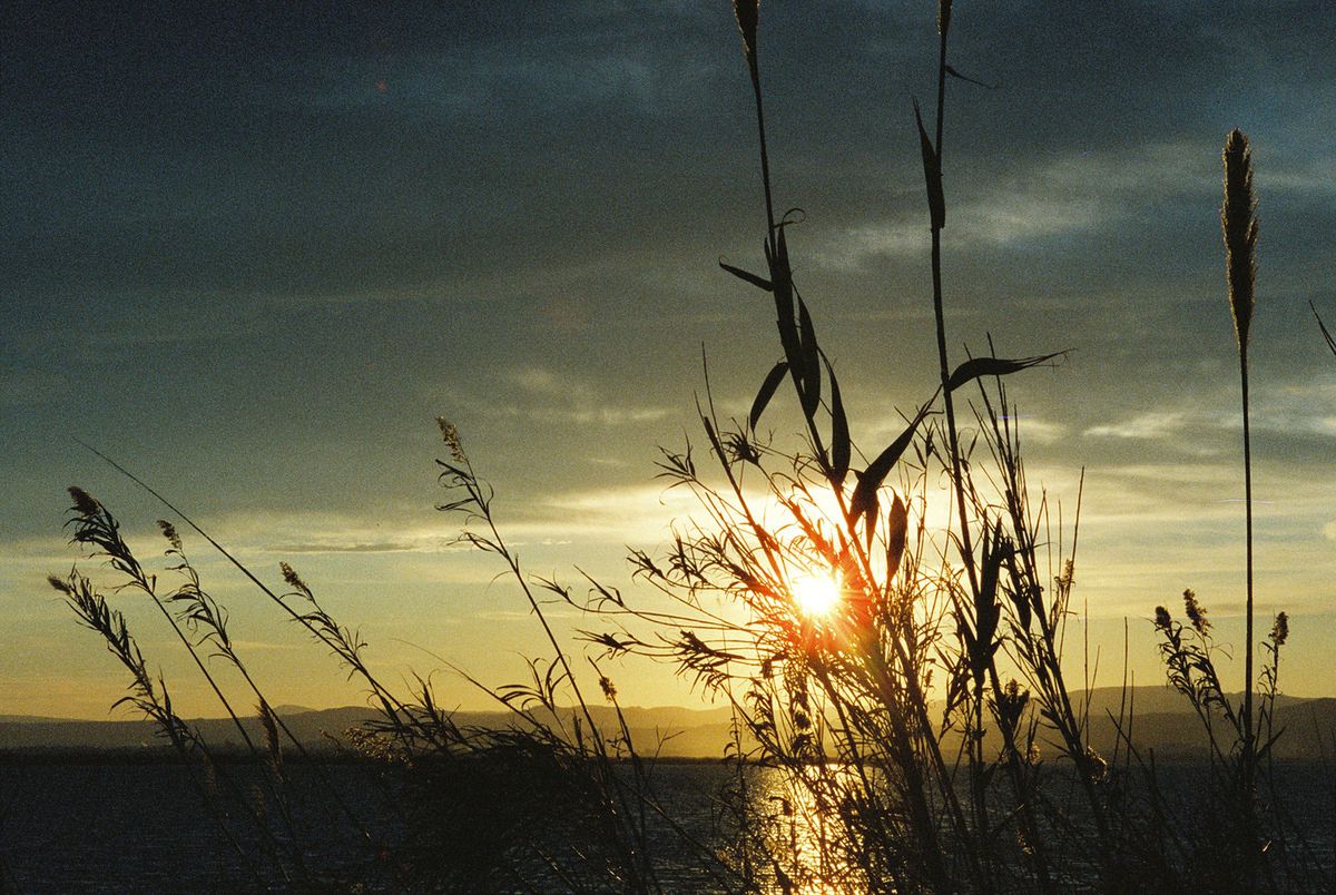 Dubblefilm Cinema to nowy negatyw z taśmy filmowej. Cinestill zagrożony? 10