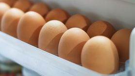 Nie przechowuj jajek na drzwiach lodówki. Sprawdź, dlaczego to ważne (WIDEO)