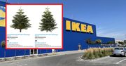 Oferta dla klubowiczów. 15 zł za choinkę w Ikea. Tylko w 4 miastach