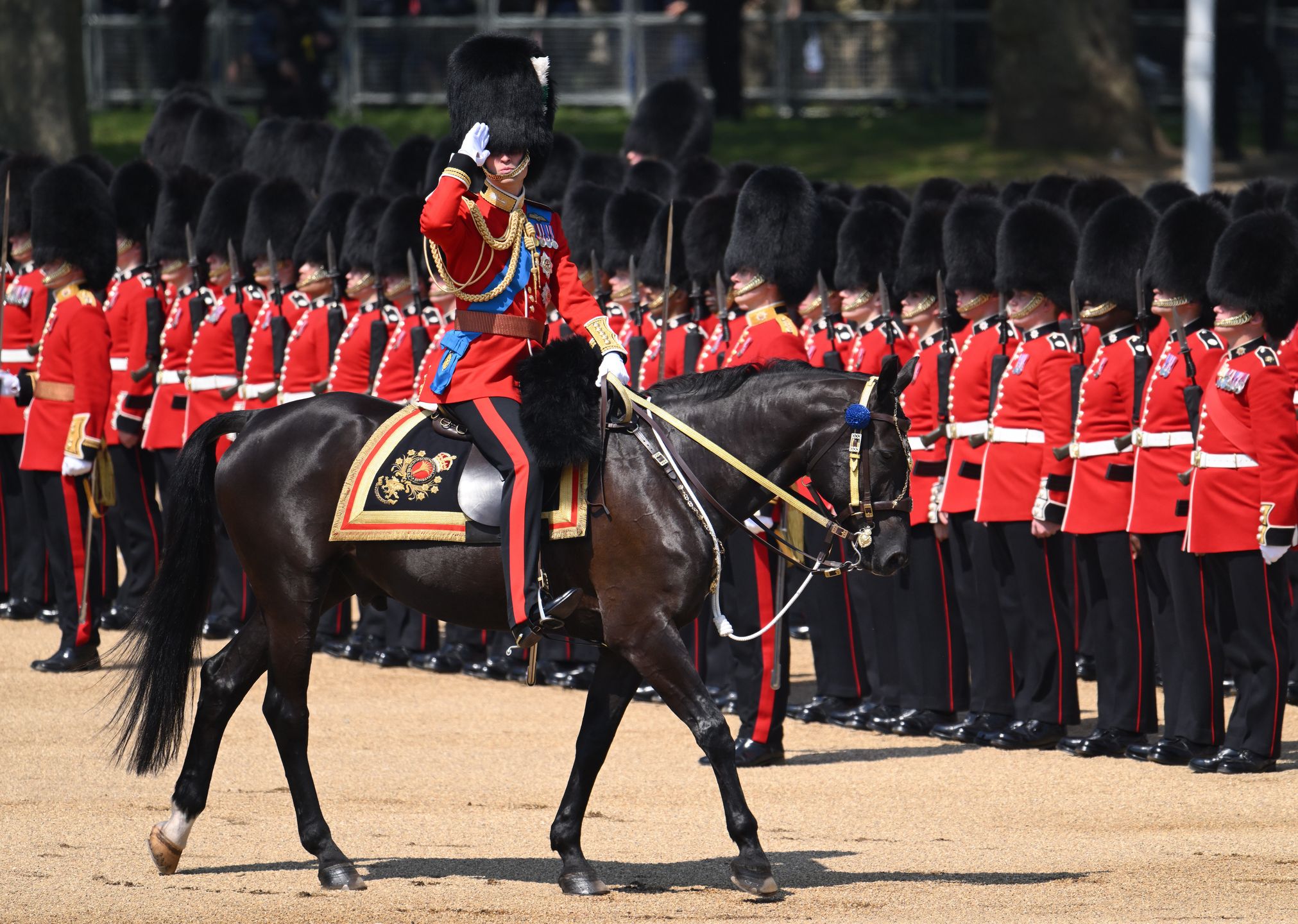 Książę William dziękuje żołnierzom po próbie do Trooping the Colour