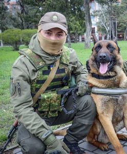 Zmienił barwy na ukraińskie. "Teraz pogryzie rosyjskie tyłki"