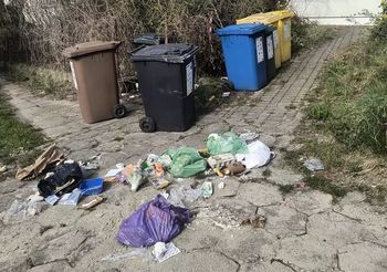 "Nocni sprawcy zamieszania". Szybko wyszło na jaw kto odpowiada za bałagan