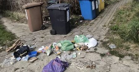 "Nocni sprawcy zamieszania". Szybko wyszło na jaw kto odpowiada za bałagan