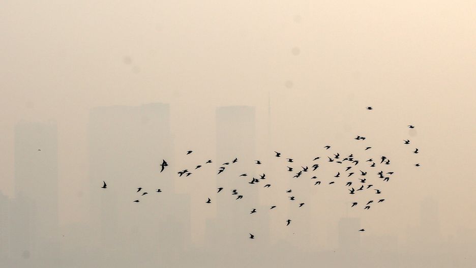 Wrocław. Smog atakuje. Zła jakość powietrza w mieście