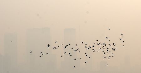 Wrocław. Smog atakuje. Zła jakość powietrza w mieście