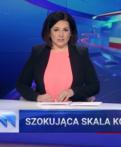 "Korupcja nie dotyczy polskich demokratów". Ale "Wiadomości" i tak ich pokazały