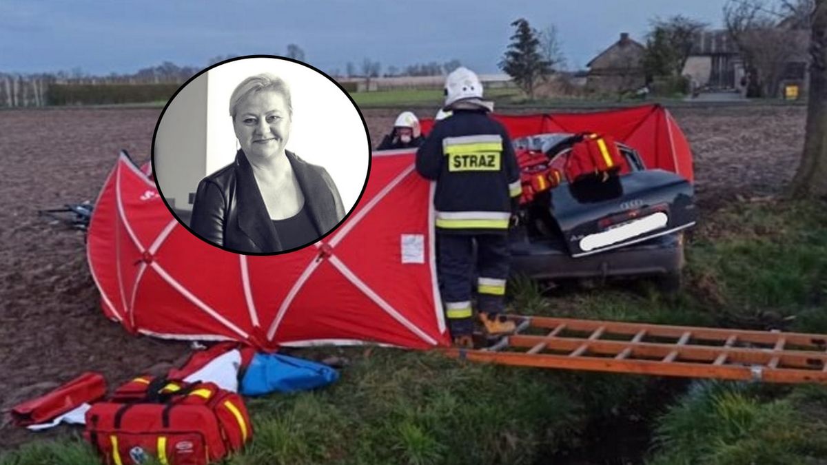 padek w Książenicach