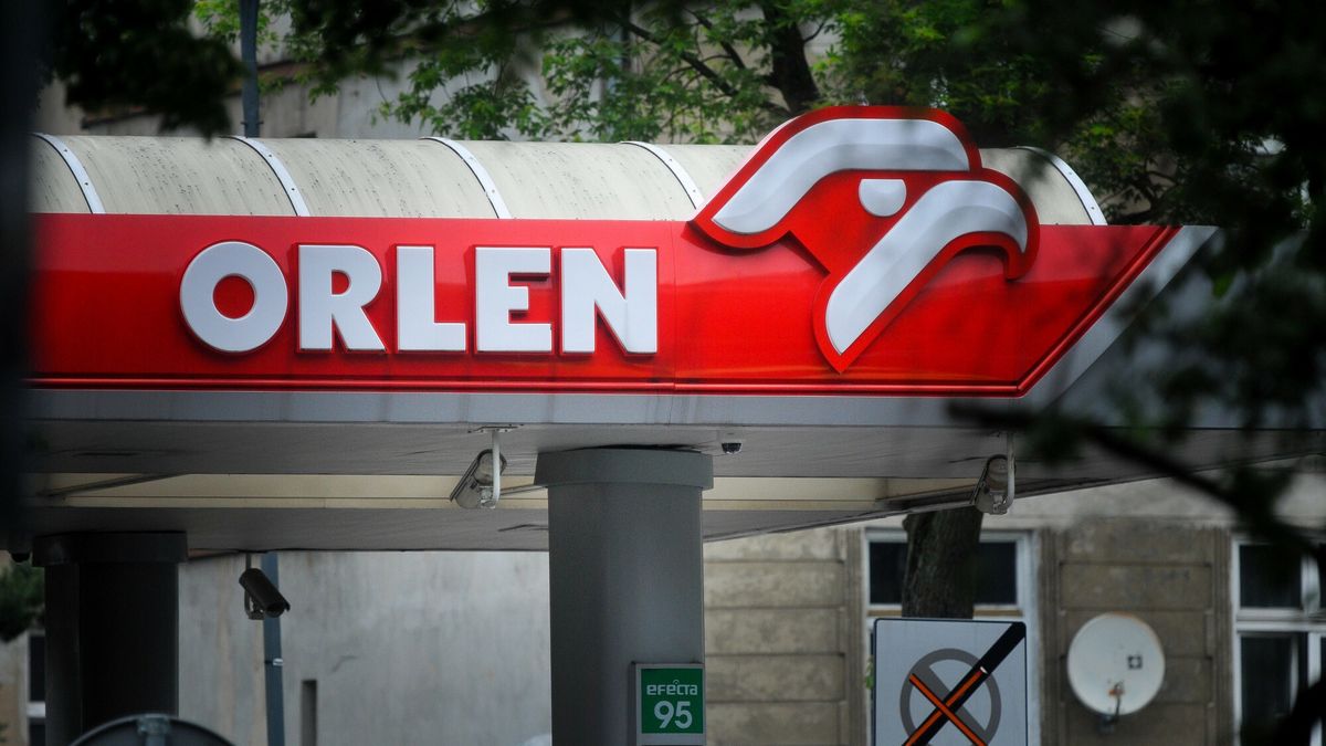 Orlen. Zdjęcie ilustracyjne