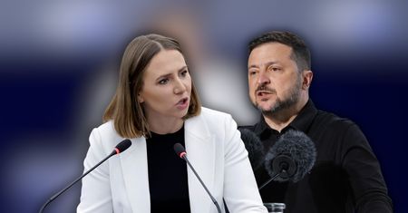 Bryłka chce odebrania orderu Zełenskiemu. Wniosek trafił do PE