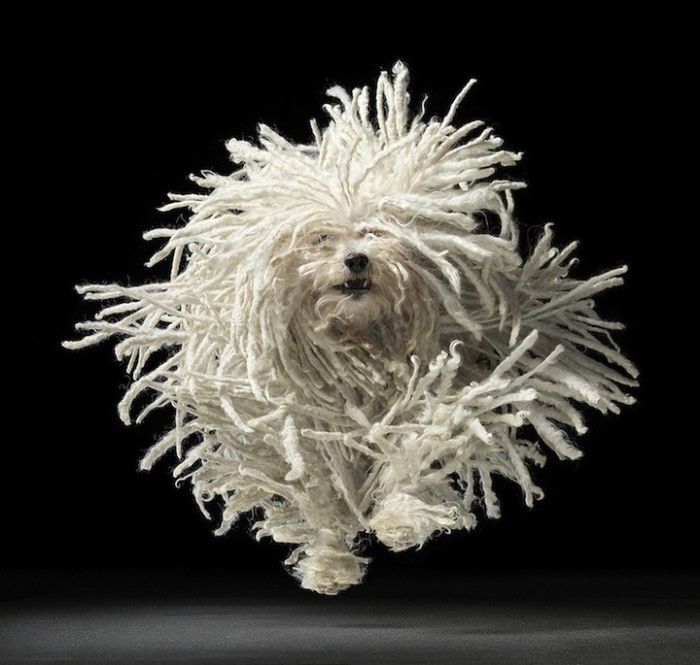 © Tim Flach / timflach.com