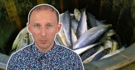Wskazał najzdrowszą i tanią rybę ze sklepu. Bomba żelaza i selenu