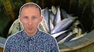 Wskazał najzdrowszą i tanią rybę ze sklepu. Bomba żelaza i selenu