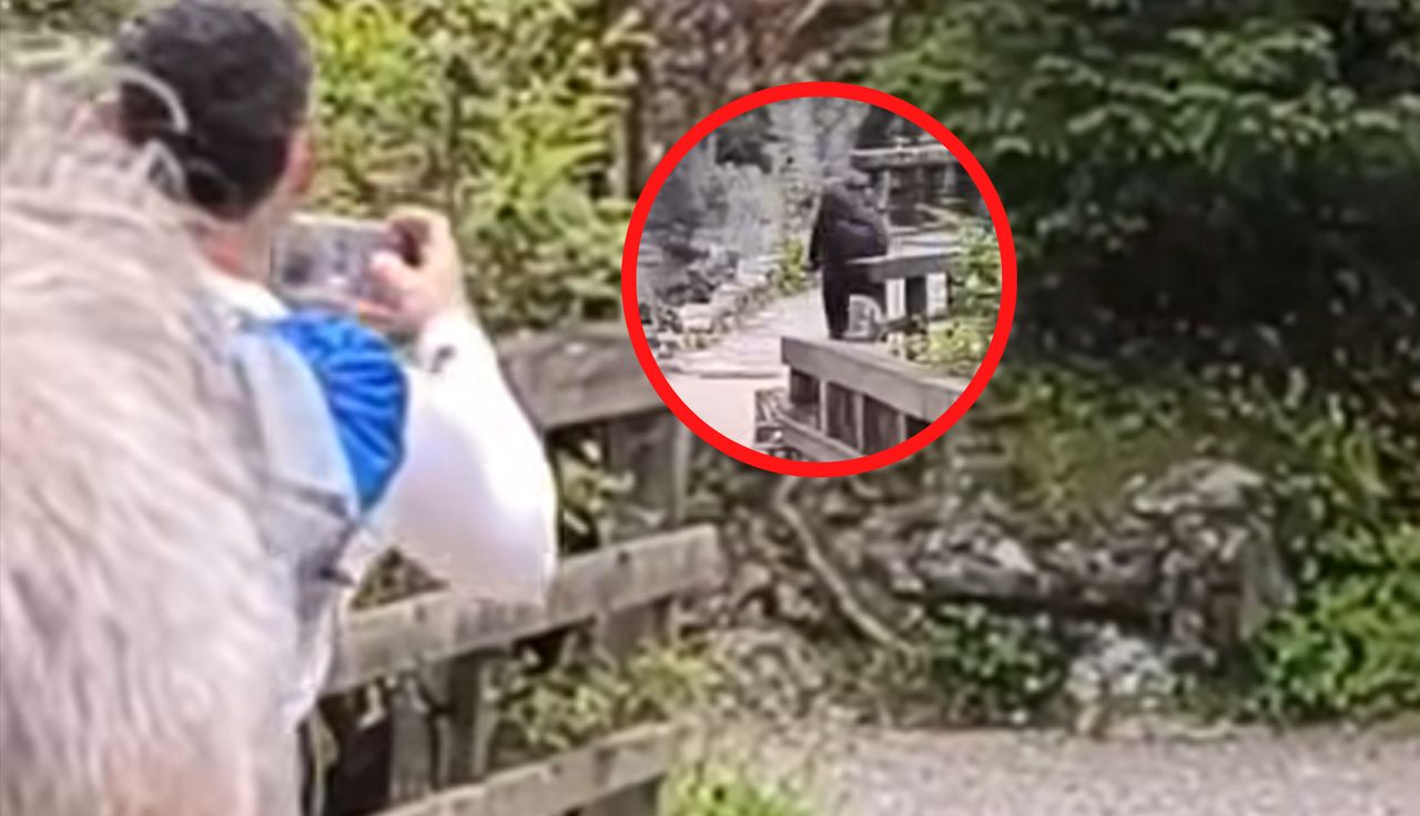 Natychmiast zaczęli uciekać. Ujęcia z Tatr obiegają sieć