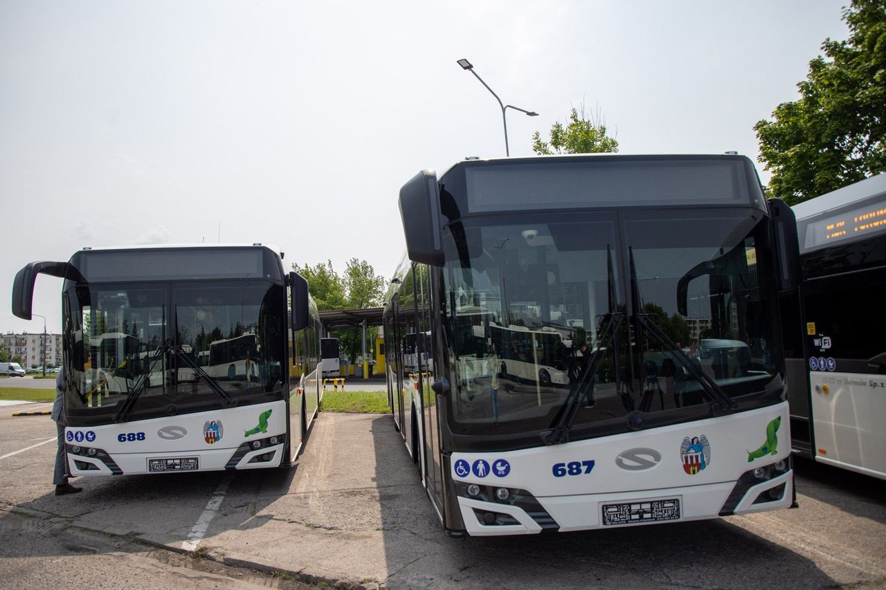Toruń: Nowa linia autobusowa nr 132. Spora zmiana dla mieszkańców