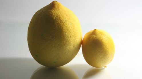 Zakupy z głową XVI - Downsizing 1