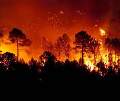 Pożar lasów na włoskiej wyspie. Ewakuacja turystów z regionu Toskania