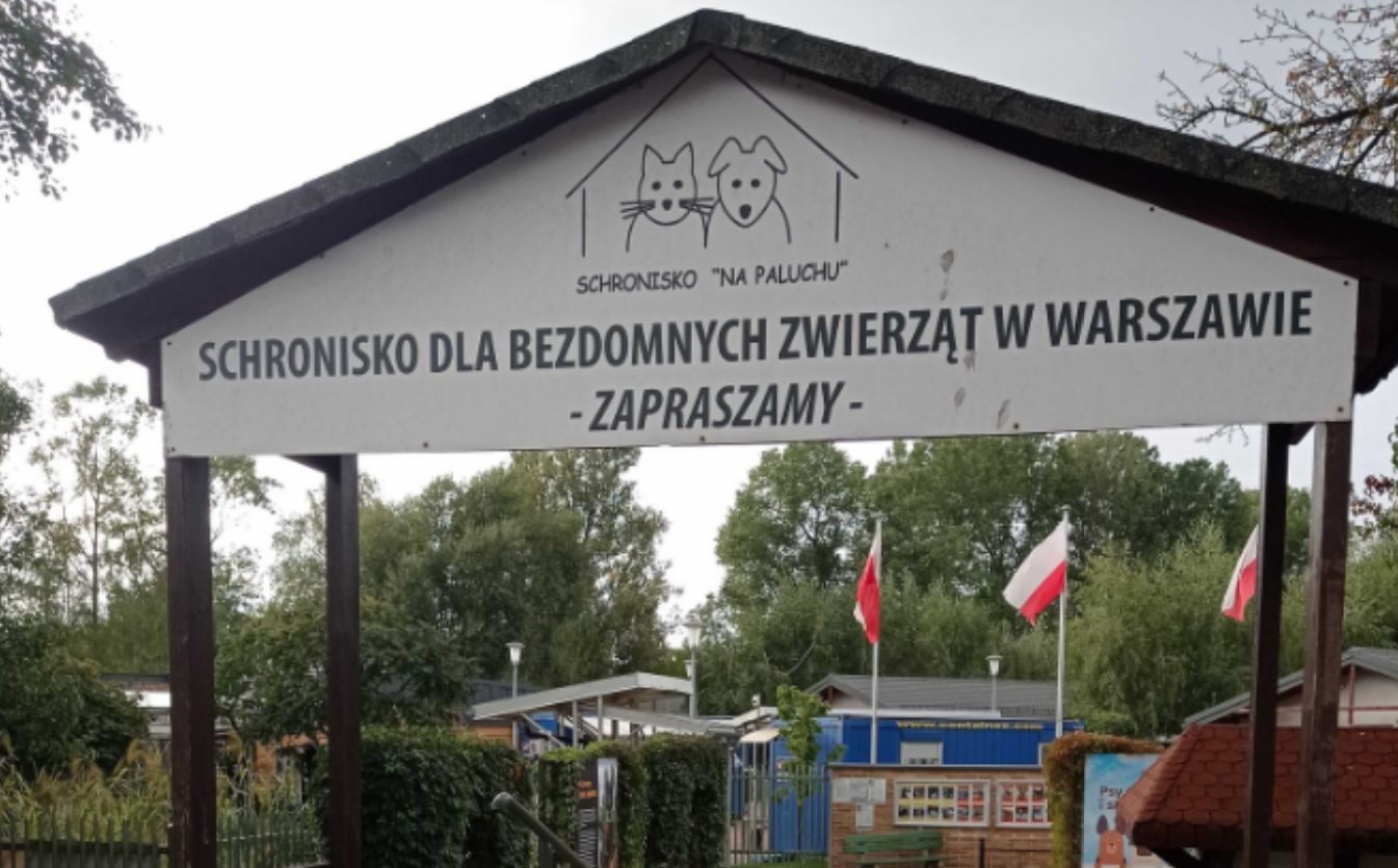 Wolontariusze schroniska mówią o strachu. Władze placówki o "różnicy zdań"