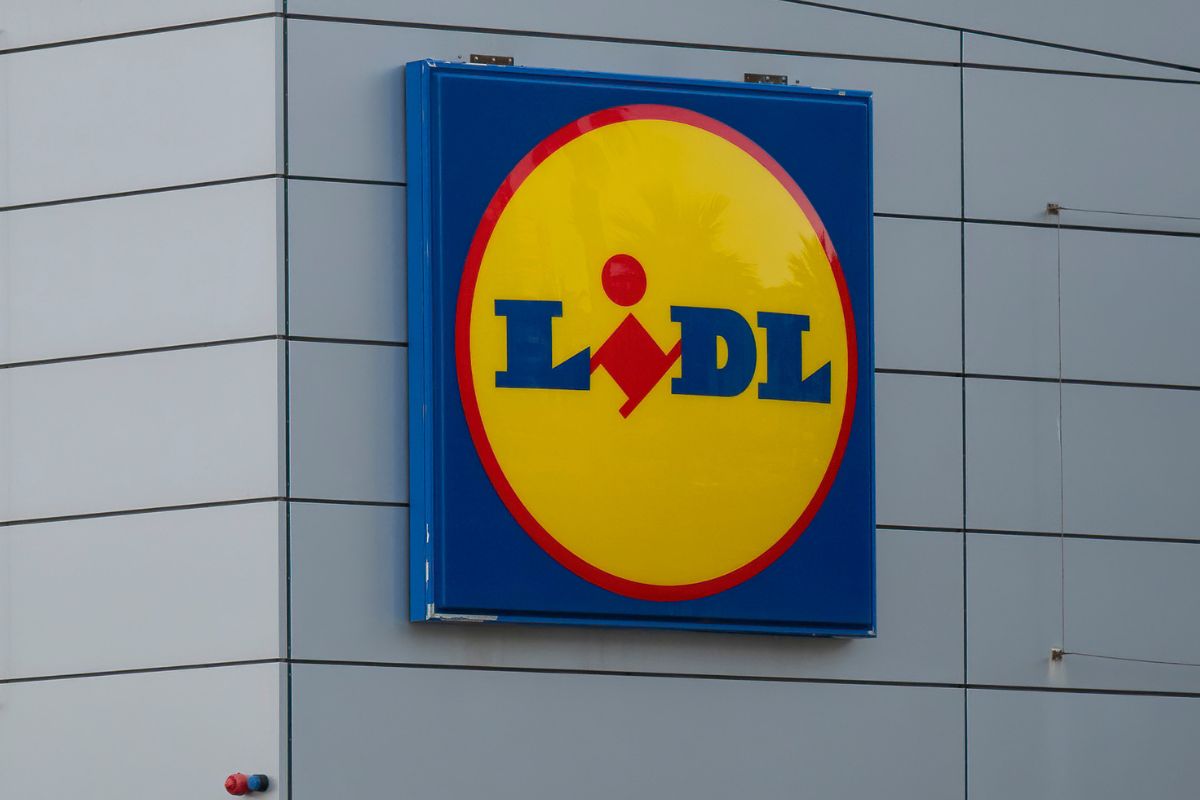 Zaczyna się w Lidlu. 19,99 zł i możesz zapomnieć o mrozie