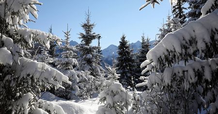 Atak zimy w Tatrach. Temperatura odczuwalna wyniesie nawet -30 stopni