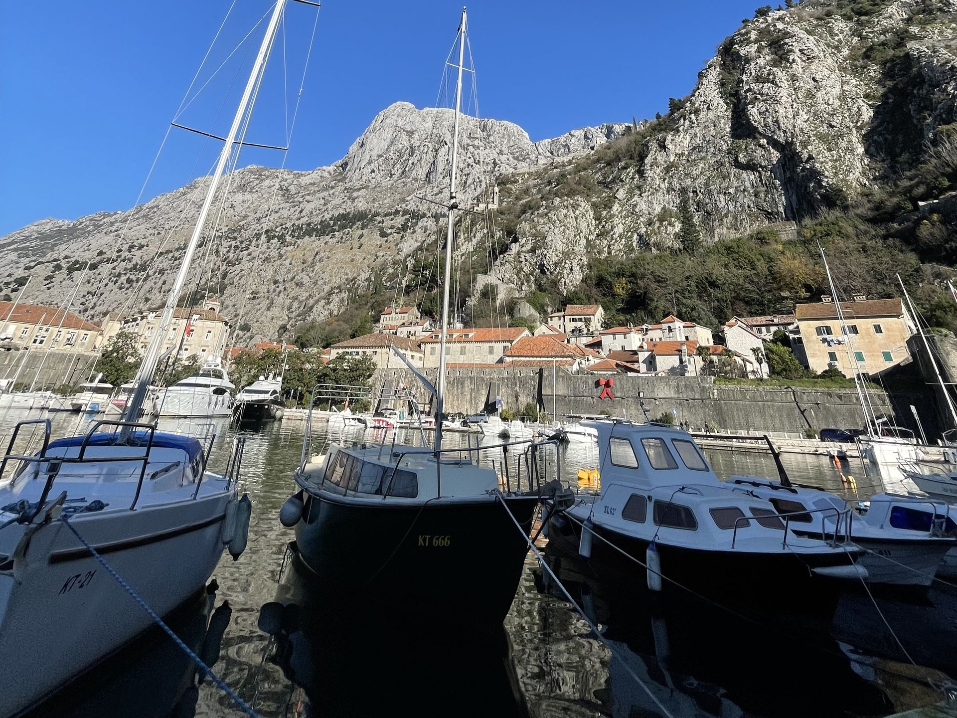 Kotor 