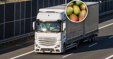 Transport z Indii zatrzymany. Oto co miało trafić do sklepów w Polsce