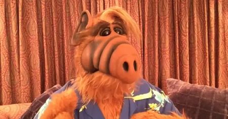 "Alf": uwielbiany serial pogrążył obsadę. Jak potoczyły się losy gwiazd serialu?