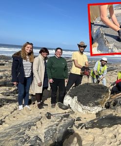 Ma ponad 190 mln lat. Niewiarygodne, co znaleźli na plaży w Portugalii