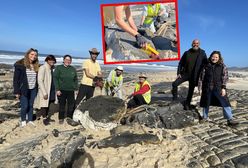 Ma ponad 190 mln lat. Niewiarygodne, co znaleźli na plaży w Portugalii