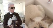 Lagerfeld: "Choupette zawsze będzie moją muzą"
