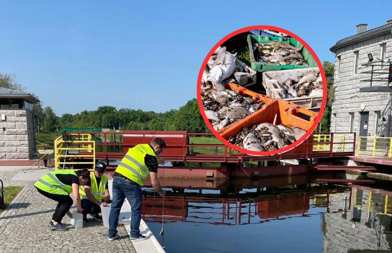 450 kilogramów śniętych ryb. Wojewoda podjął kolejną decyzję