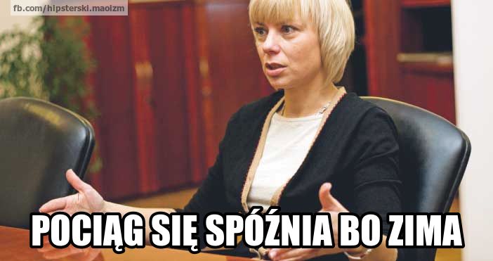 "Sorry, taki mamy klimat". Bieńkowska i zamarznięte pociągi w memach 4