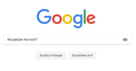 Oto czego szukaliśmy w Google w 2018 roku