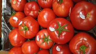 Przebadali pomidory malinowe z dyskontów. Oto tłumaczenie Biedronki