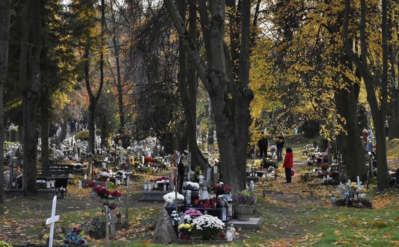 Psy na cmentarzu w Malborku. Zakaz był nielegalny
