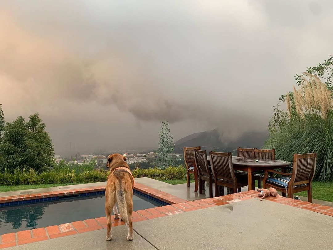 Dom Alicji Bachledy-Curuś