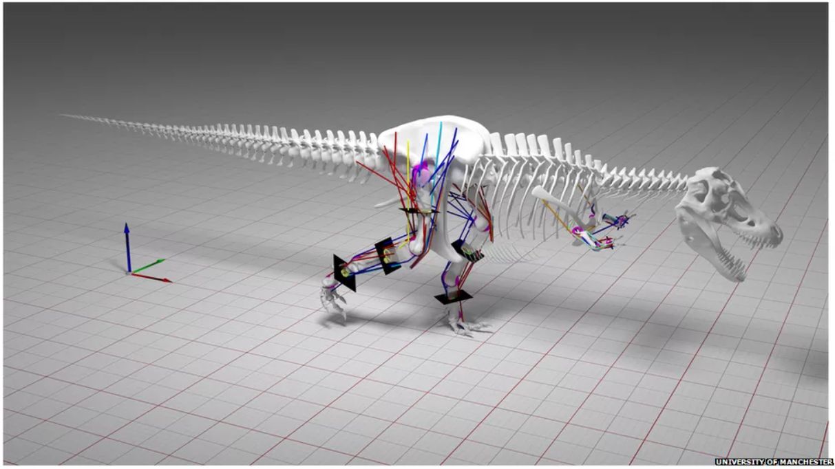 Symulacja komputerowa ruchu tyranozaura.