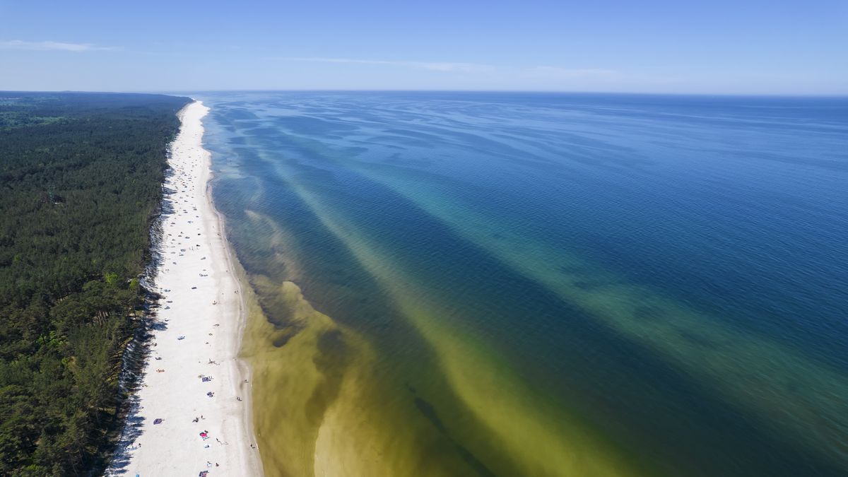 bałtyk plaża wybrzeże wakacje plaża morze