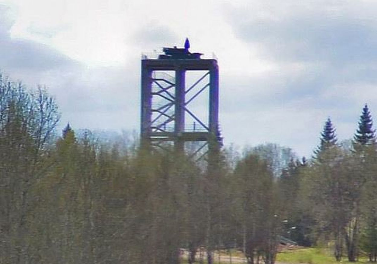 Rosną jak grzyby po deszczu. Mają chronić rezydencję Putina