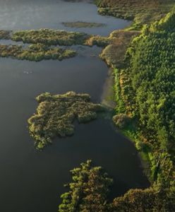 Nowy rezerwat przyrody w Polsce. Przedstawiamy "Jezioro Mścin"